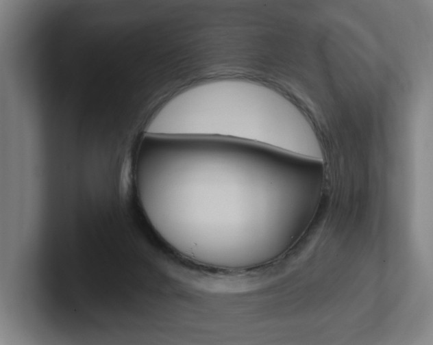 X0000102810024200808181002