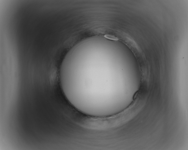 X0000102810029200808181002