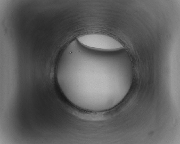 X0000102810032200808181002