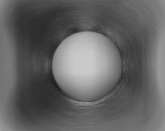 X0000102810034200808181002