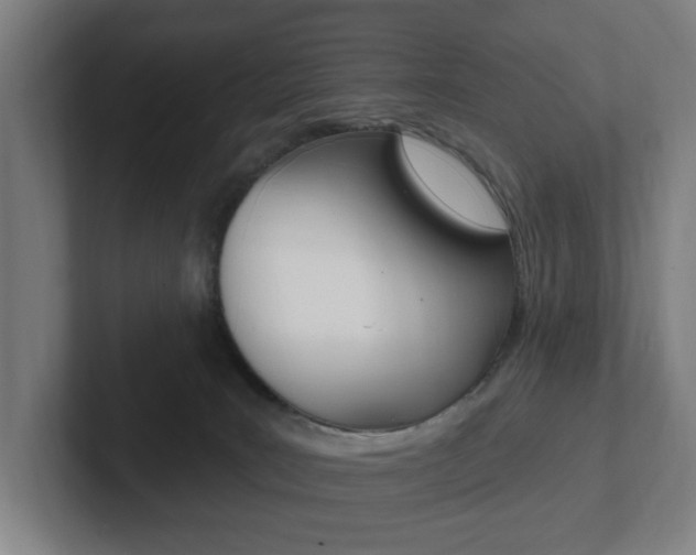 X0000102810035200808181002