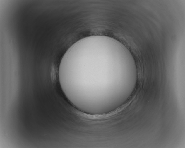 X0000102810038200808181002