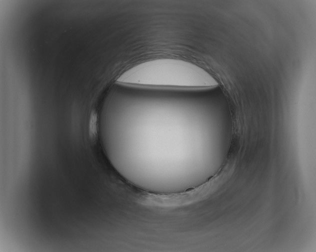 X0000102810041200808181002