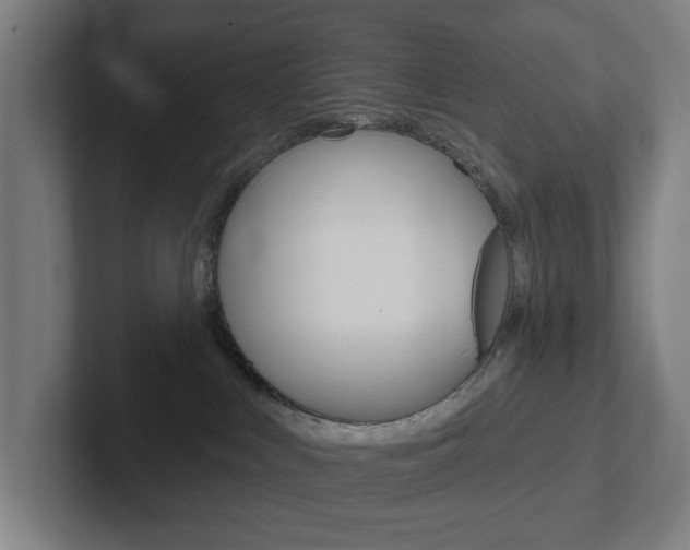 X0000102810043200808181002