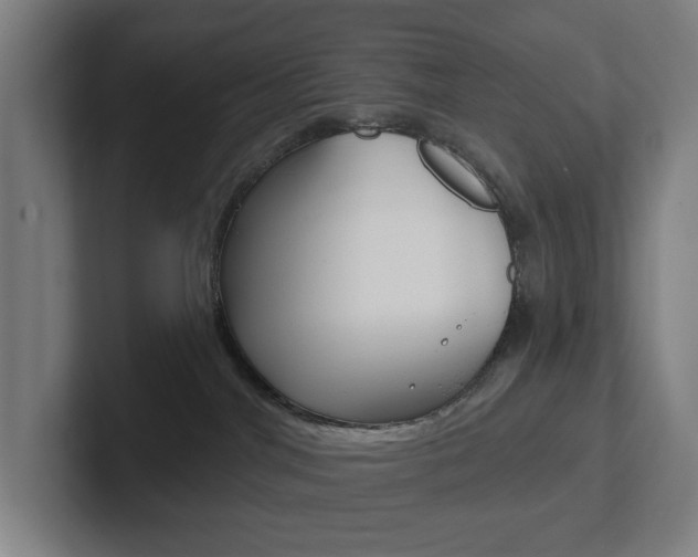 X0000102810044200808181002