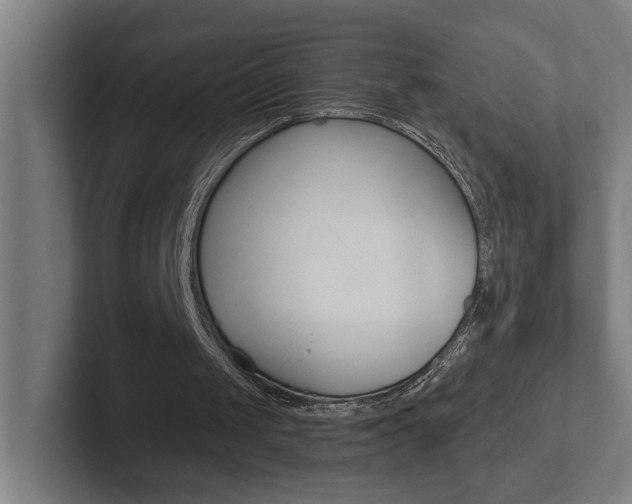 X0000102810049200808181001