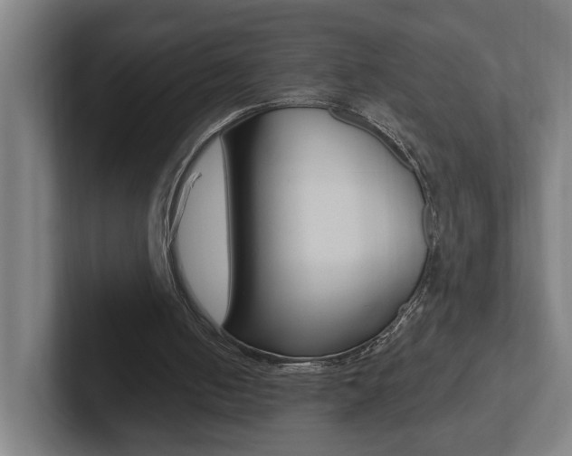 X0000102810050200808181001