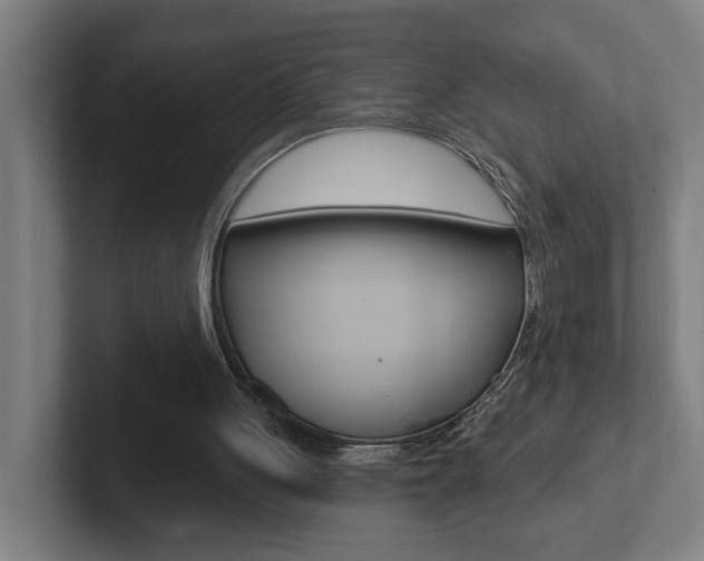 X0000102810051200808181001