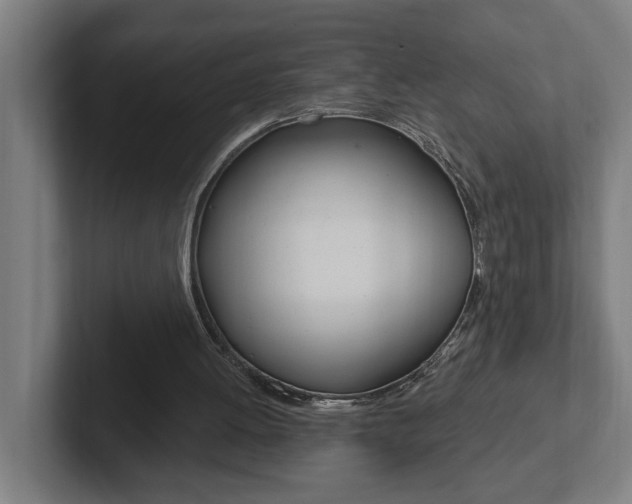 X0000102810052200808181001