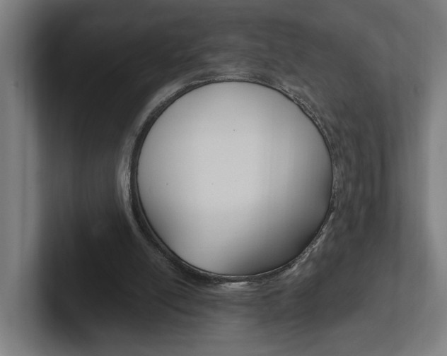 X0000102810054200808181001