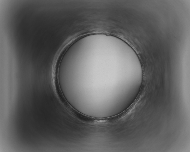 X0000102810055200808181001