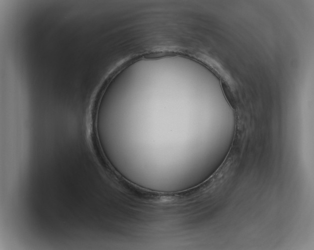 X0000102810060200808181001