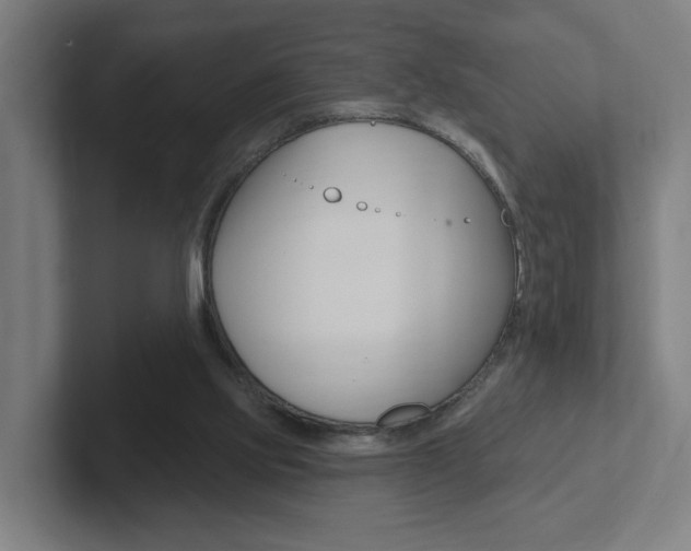 X0000102810061200808181001