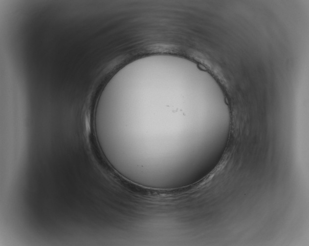 X0000102810062200808181001