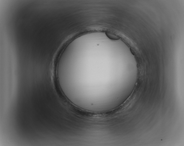 X0000102810064200808181001