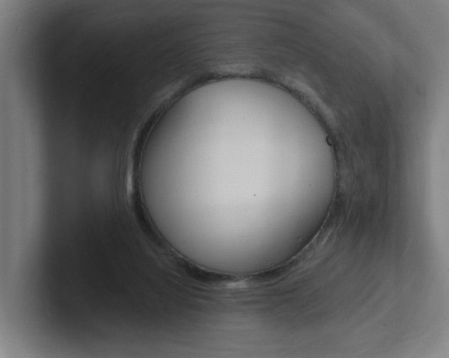 X0000102810068200808181001