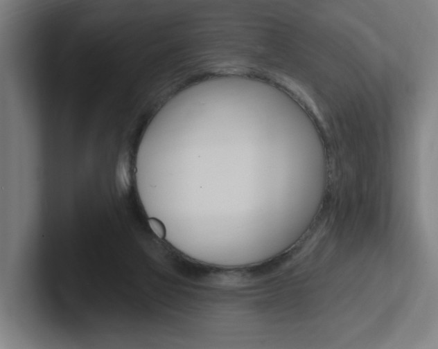 X0000102810069200808181001