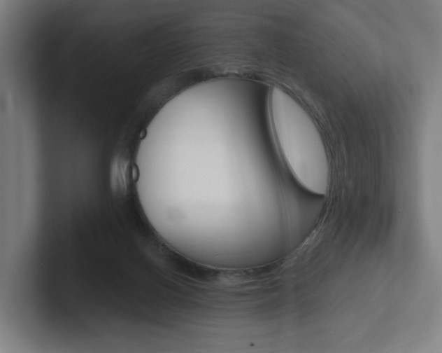 X0000102810070200808181001