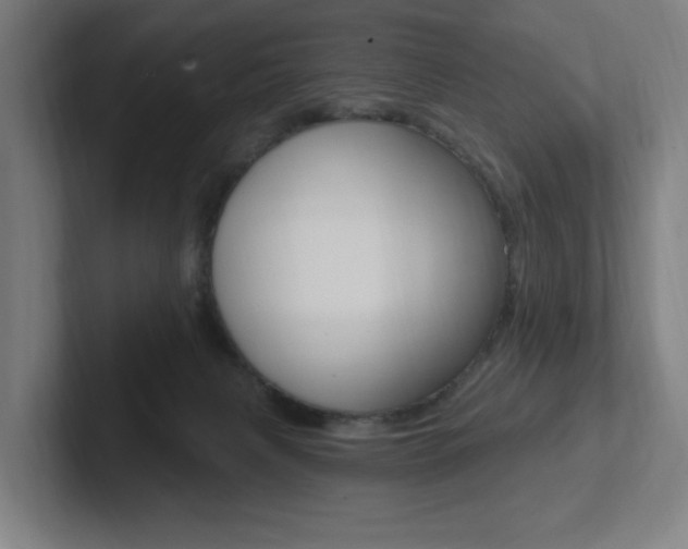 X0000102810079200808181001