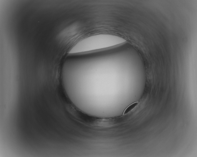 X0000102810082200808181001