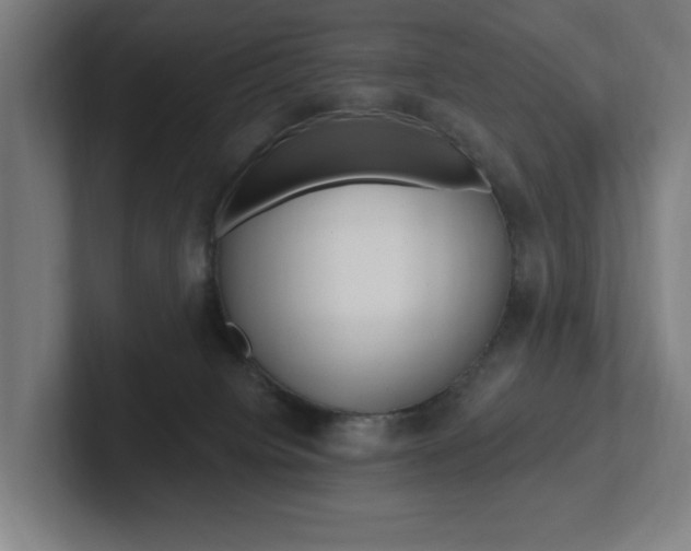 X0000102810084200808181001