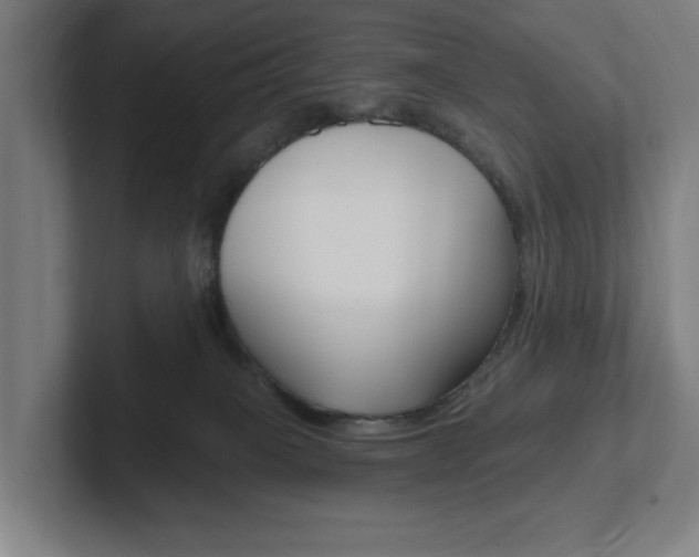 X0000102810085200808181001