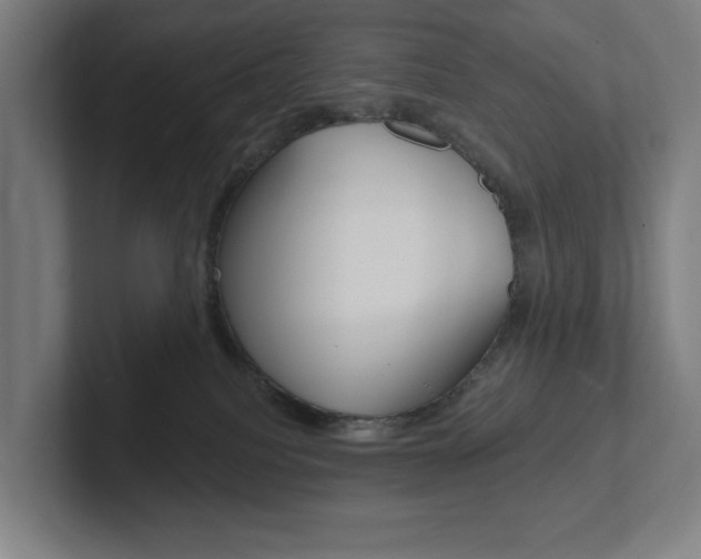 X0000102810088200808181001