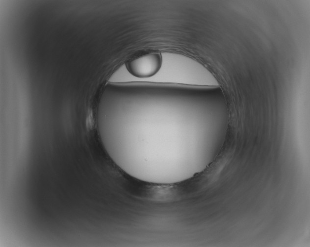 X0000102810089200808181001