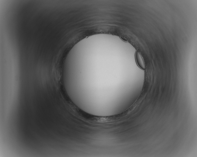 X0000102810091200808181001