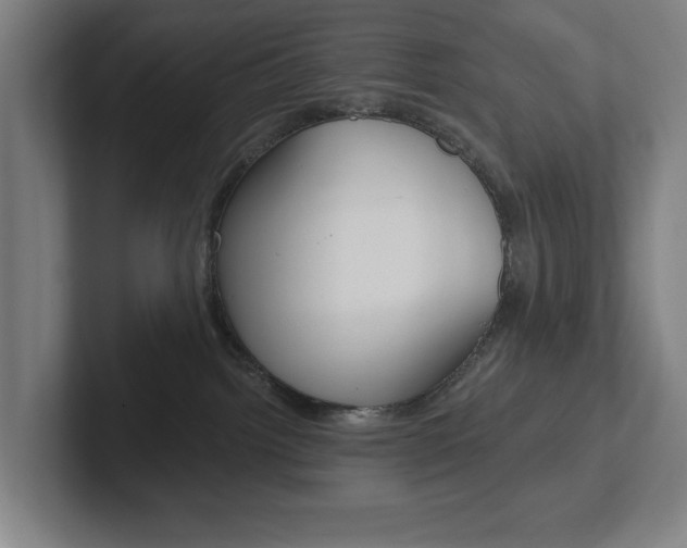 X0000102810092200808181001