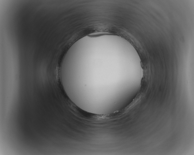 X0000102810093200808181001