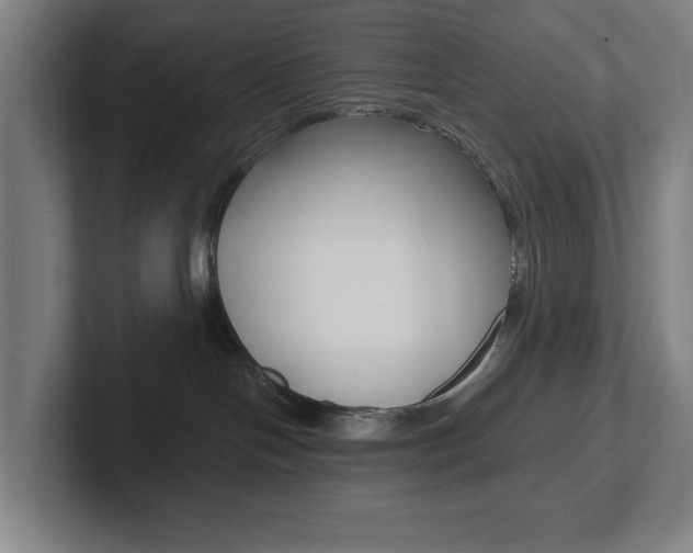 X0000102810094200808181002