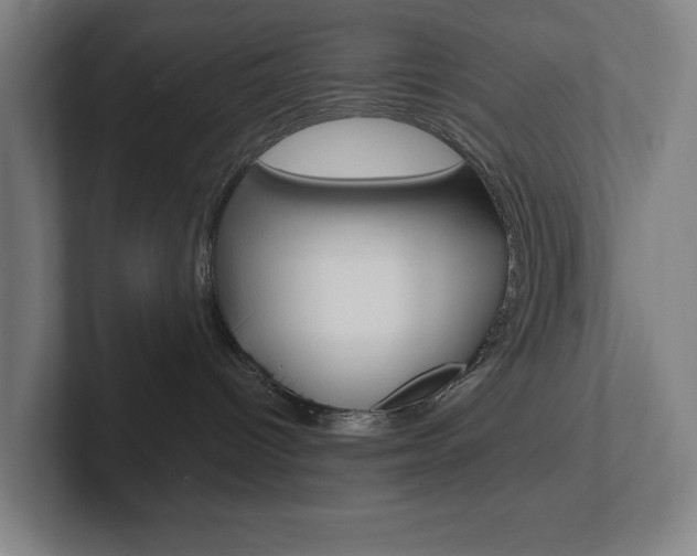 X0000102810096200808181002