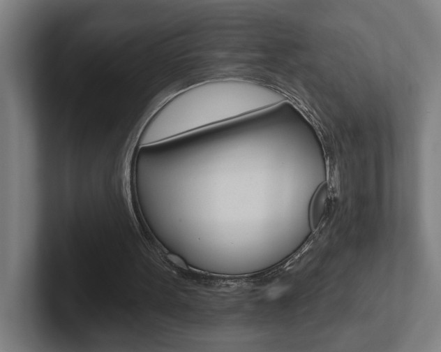 X0000102810099200808181001