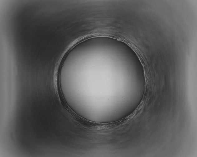 X0000102810100200808181001