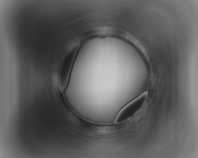 X0000102810105200808181001