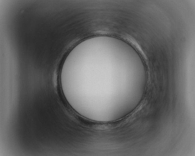 X0000102810106200808181001