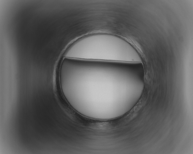 X0000102810108200808181001