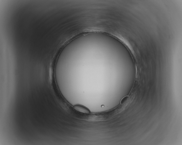 X0000102810109200808181001