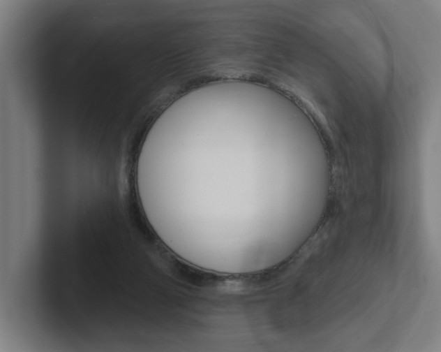 X0000102810114200808181001