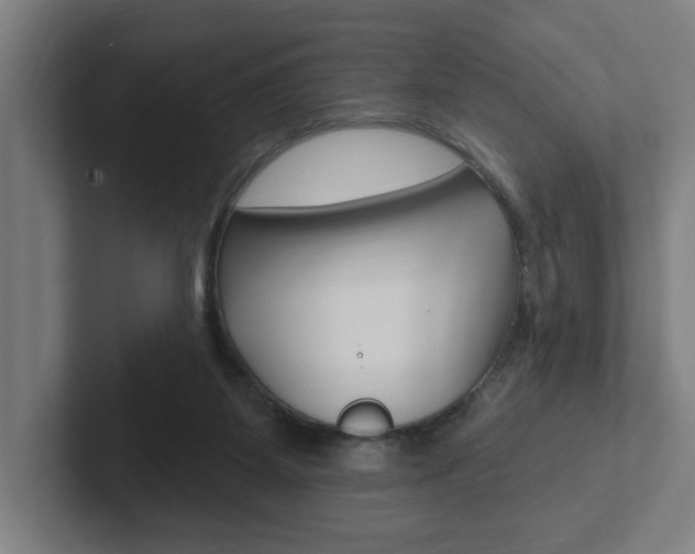 X0000102810115200808181001