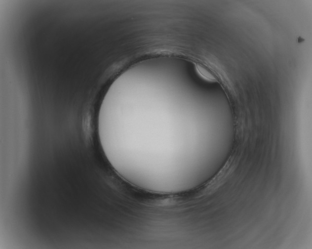 X0000102810116200808181001