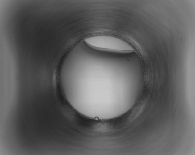 X0000102810119200808181001