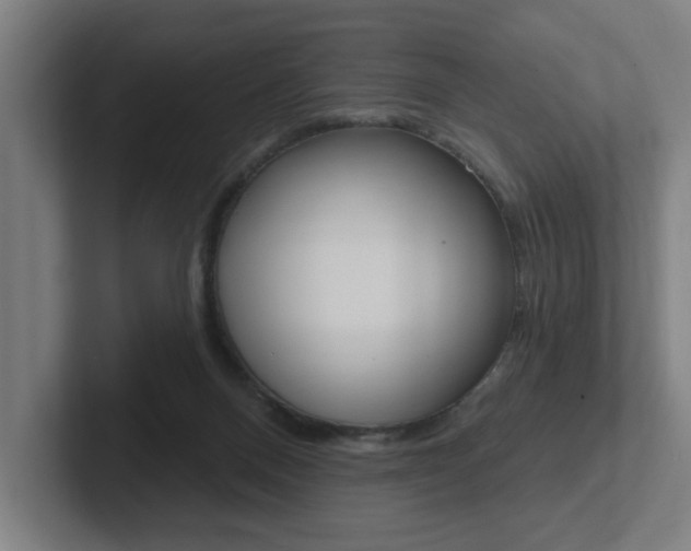 X0000102810120200808181001