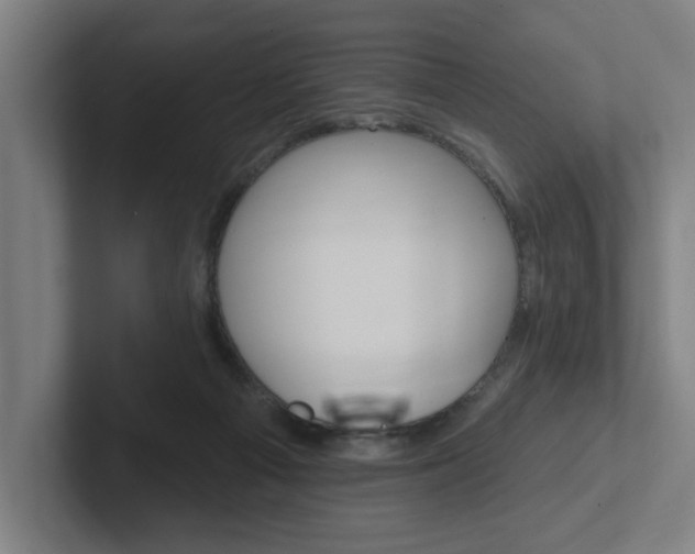 X0000102810121200808181001