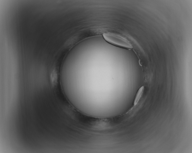 X0000102810124200808181001