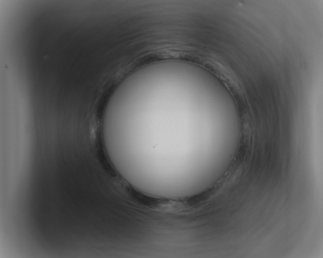 X0000102810125200808181000