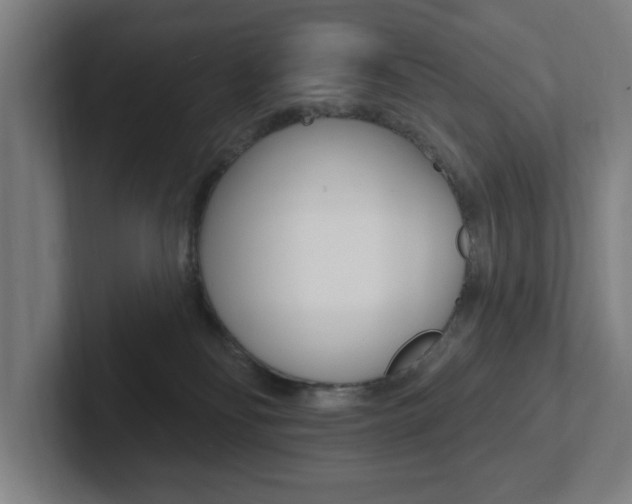 X0000102810134200808181000