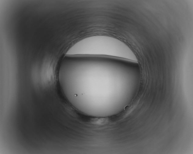 X0000102810135200808181000