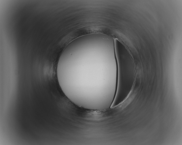 X0000102810140200808181000